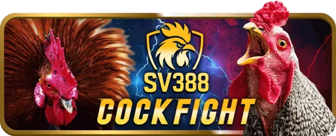 Chỉ sử dụng trang chủ chính thức của w678 casino